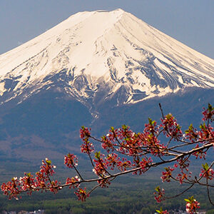 15 - Addressing Climate Change by the Japanese Steel Industry