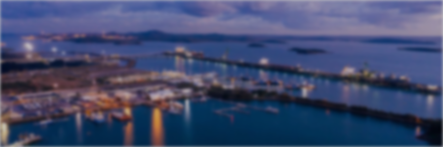 MAN0106HIL – Accelerating decarb through industry hubs – European lessons for Australia’s industrial region